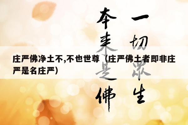 庄严佛净土不,不也世尊（庄严佛土者即非庄严是名庄严）