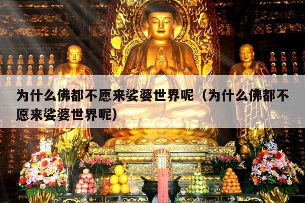 为什么佛都不愿来娑婆世界呢（为什么佛都不愿来娑婆世界呢）