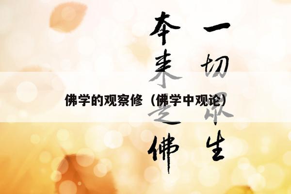 佛学的观察修（佛学中观论）