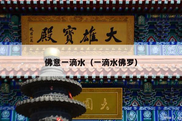 佛意一滴水（一滴水佛罗）