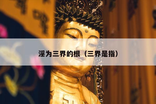淫为三界的根（三界是指）