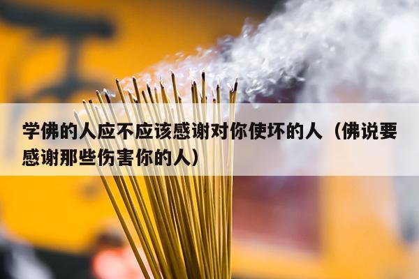 学佛的人应不应该感谢对你使坏的人（佛说要感谢那些伤害你的人）