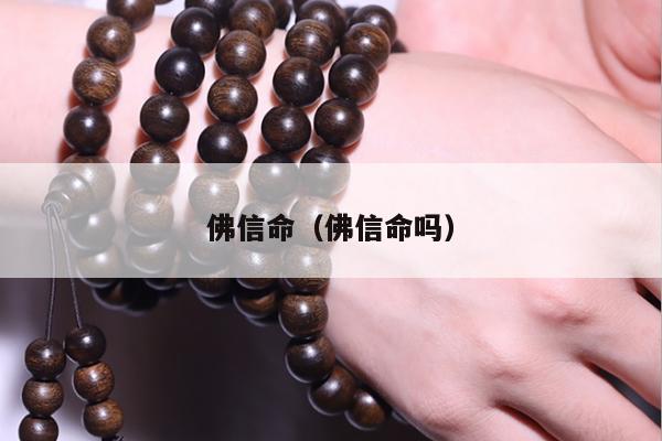佛信命（佛信命吗）