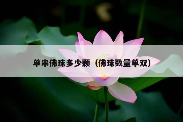 单串佛珠多少颗（佛珠数量单双）