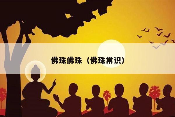 佛珠佛珠（佛珠常识）