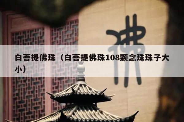 白菩提佛珠（白菩提佛珠108颗念珠珠子大小）