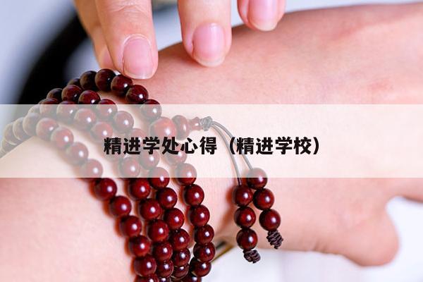 精进学处心得（精进学校）