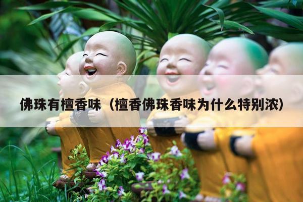 佛珠有檀香味（檀香佛珠香味为什么特别浓）