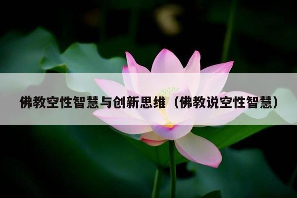 佛教空性智慧与创新思维（佛教说空性智慧）