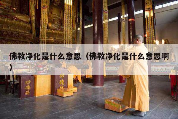 佛教净化是什么意思（佛教净化是什么意思啊）