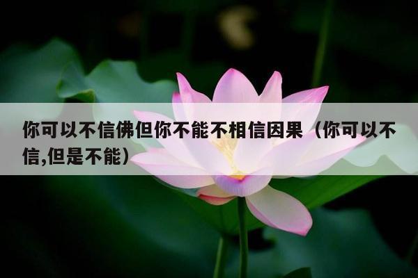 你可以不信佛但你不能不相信因果（你可以不信,但是不能）