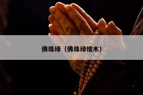 佛珠绿（佛珠绿檀木）