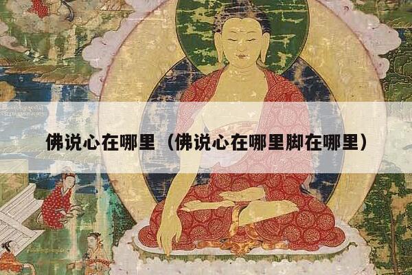 佛说心在哪里（佛说心在哪里脚在哪里）