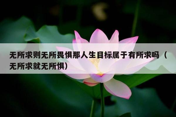 无所求则无所畏惧那人生目标属于有所求吗（无所求就无所惧）