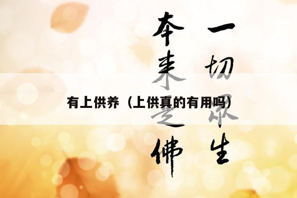 有上供养（上供真的有用吗）