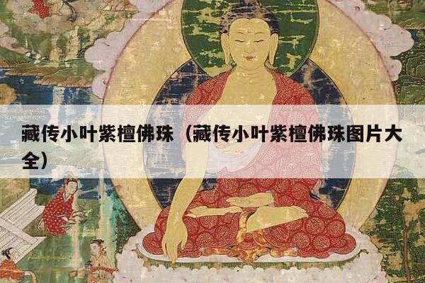 藏传小叶紫檀佛珠（藏传小叶紫檀佛珠图片大全）
