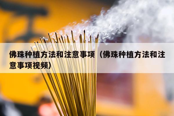 佛珠种植方法和注意事项（佛珠种植方法和注意事项视频）