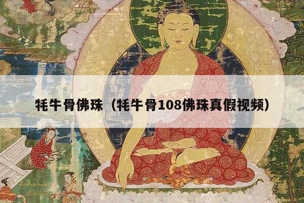 牦牛骨佛珠（牦牛骨108佛珠真假视频）