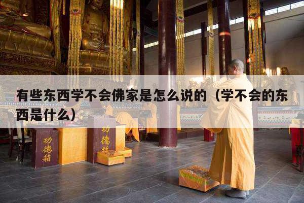 有些东西学不会佛家是怎么说的（学不会的东西是什么）