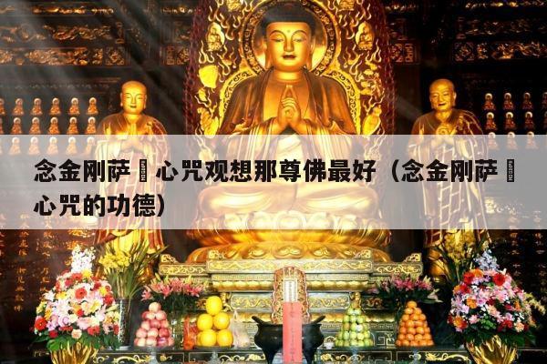 念金刚萨埵心咒观想那尊佛最好（念金刚萨埵心咒的功德）