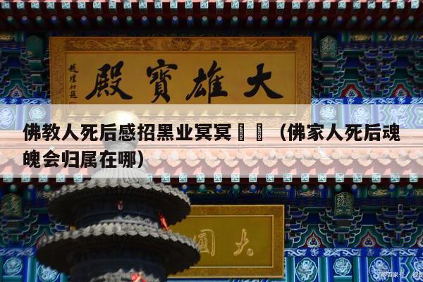 佛教人死后感招黑业冥冥昗昗（佛家人死后魂魄会归属在哪）