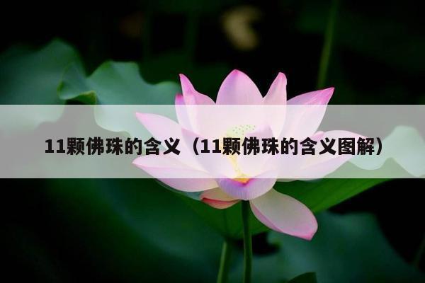11颗佛珠的含义（11颗佛珠的含义图解）