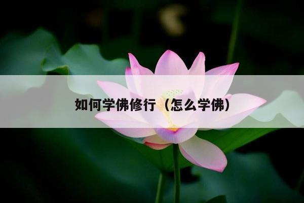 如何学佛修行（怎么学佛）