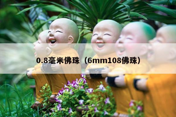 0.8毫米佛珠（6mm108佛珠）