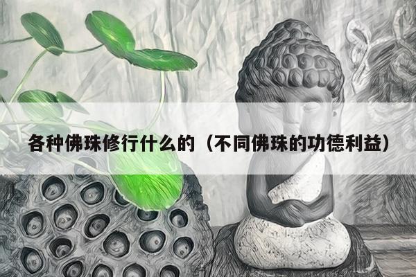 各种佛珠修行什么的（不同佛珠的功德利益）