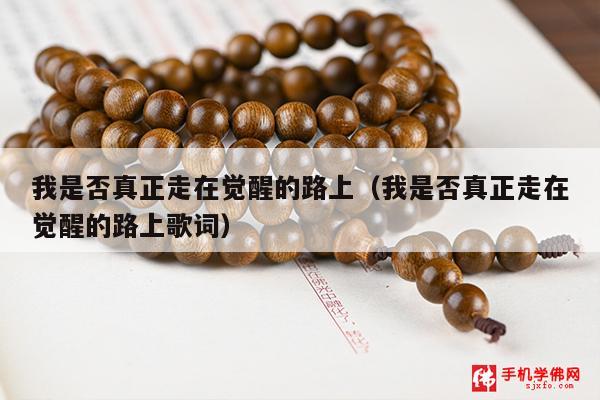 我是否真正走在觉醒的路上（我是否真正走在觉醒的路上歌词）