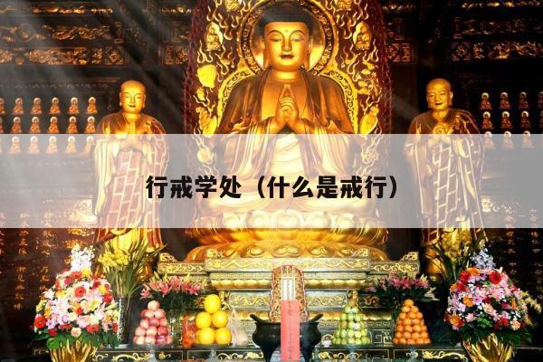 行戒学处（什么是戒行）