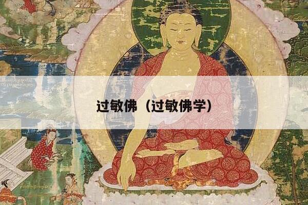 过敏佛（过敏佛学）