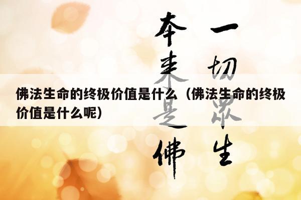 佛法生命的终极价值是什么（佛法生命的终极价值是什么呢）