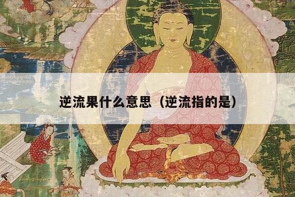 逆流果什么意思（逆流指的是）