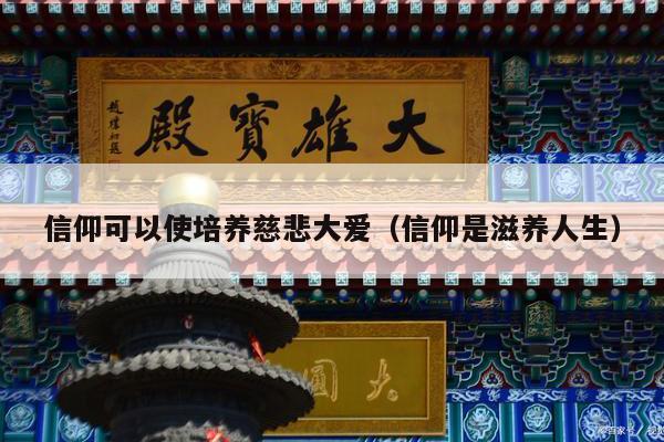 信仰可以使培养慈悲大爱（信仰是滋养人生）