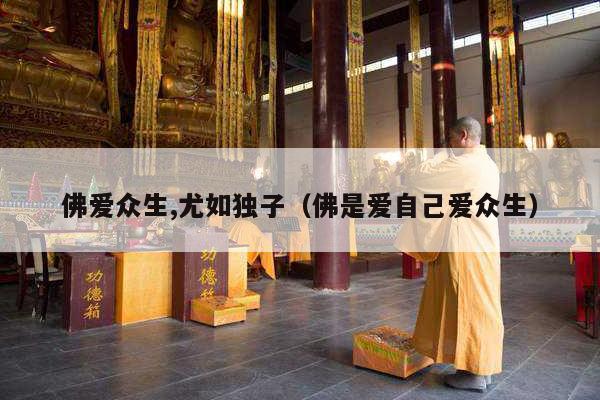 佛爱众生,尤如独子（佛是爱自己爱众生）