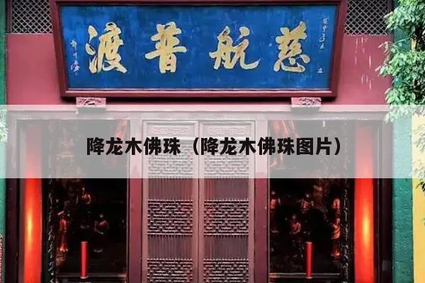 降龙木佛珠（降龙木佛珠图片）