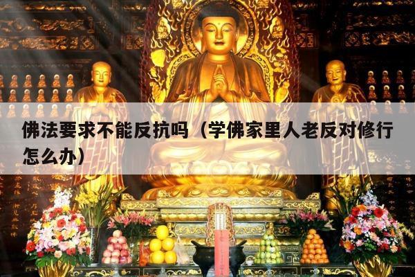 佛法要求不能反抗吗（学佛家里人老反对修行怎么办）