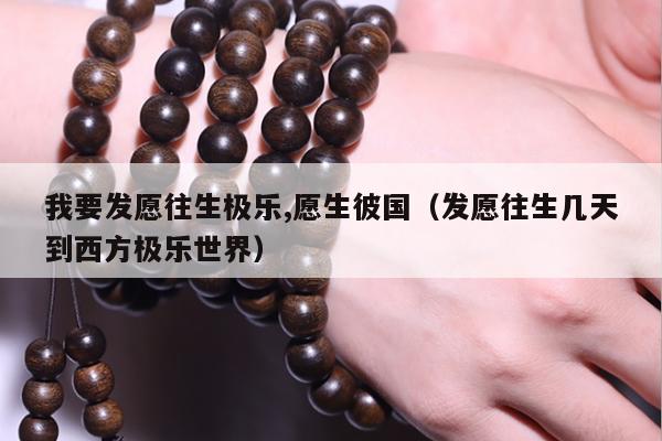 我要发愿往生极乐,愿生彼国（发愿往生几天到西方极乐世界）