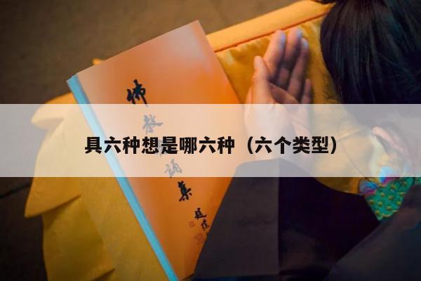 具六种想是哪六种（六个类型）