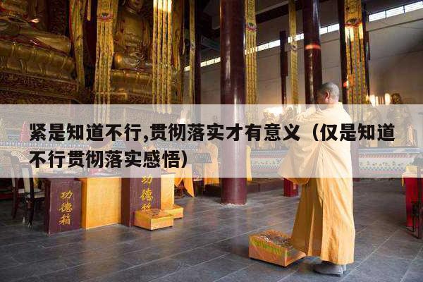 紧是知道不行,贯彻落实才有意义（仅是知道不行贯彻落实感悟）