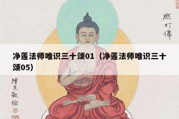 净莲法师唯识三十颂01（净莲法师唯识三十颂05）