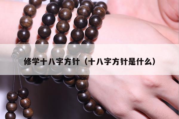 修学十八字方针（十八字方针是什么）