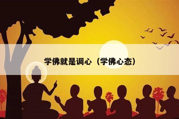 学佛就是调心（学佛心态）