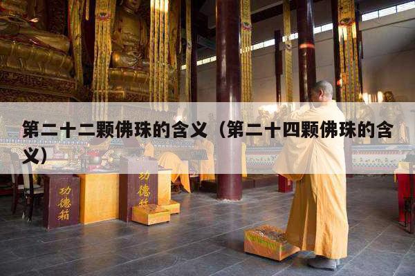 第二十二颗佛珠的含义（第二十四颗佛珠的含义）