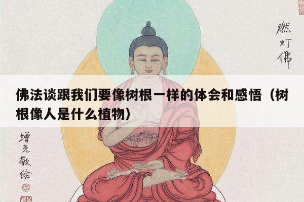 佛法谈跟我们要像树根一样的体会和感悟（树根像人是什么植物）