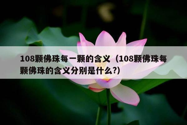 108颗佛珠每一颗的含义（108颗佛珠每颗佛珠的含义分别是什么?）