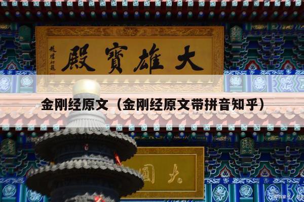 金刚经原文（金刚经原文带拼音知乎）