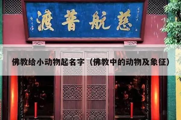 佛教给小动物起名字（佛教中的动物及象征）
