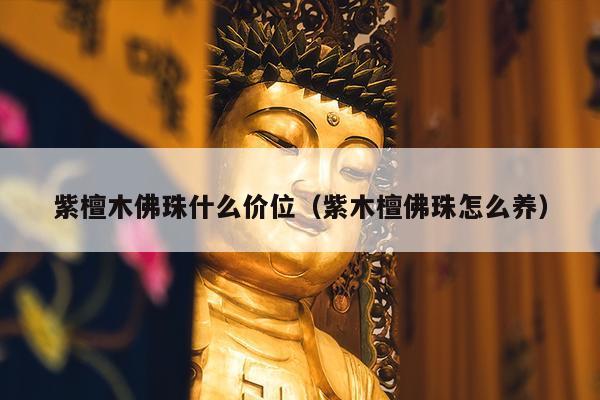紫檀木佛珠什么价位（紫木檀佛珠怎么养）